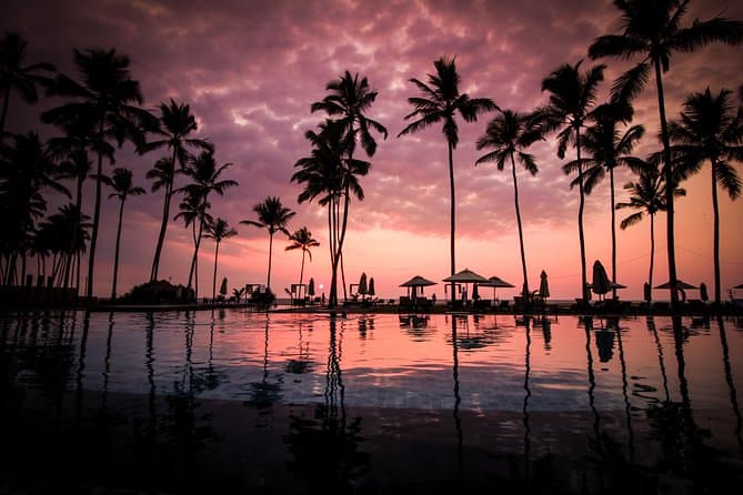 A tropical Sri Lankan sunset framed by coconut palms